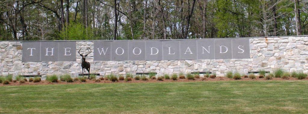 the woodlands seo